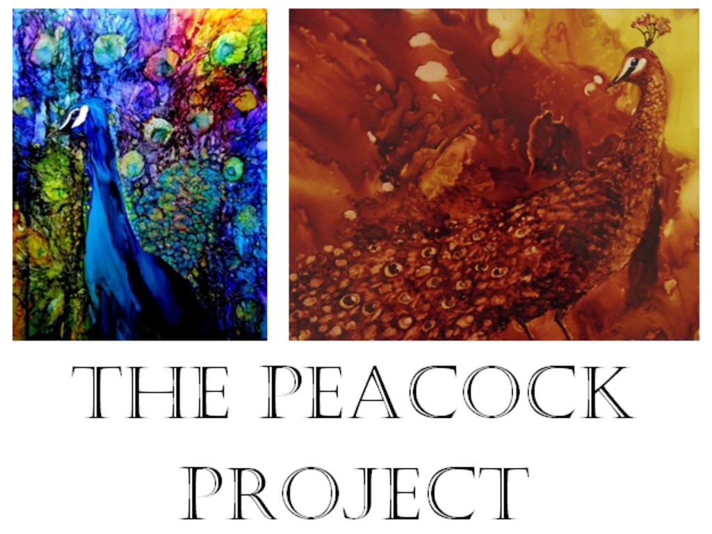 The Peacock Project's video poster