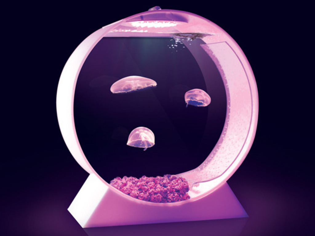 Desktop Jellyfish Tank's video poster