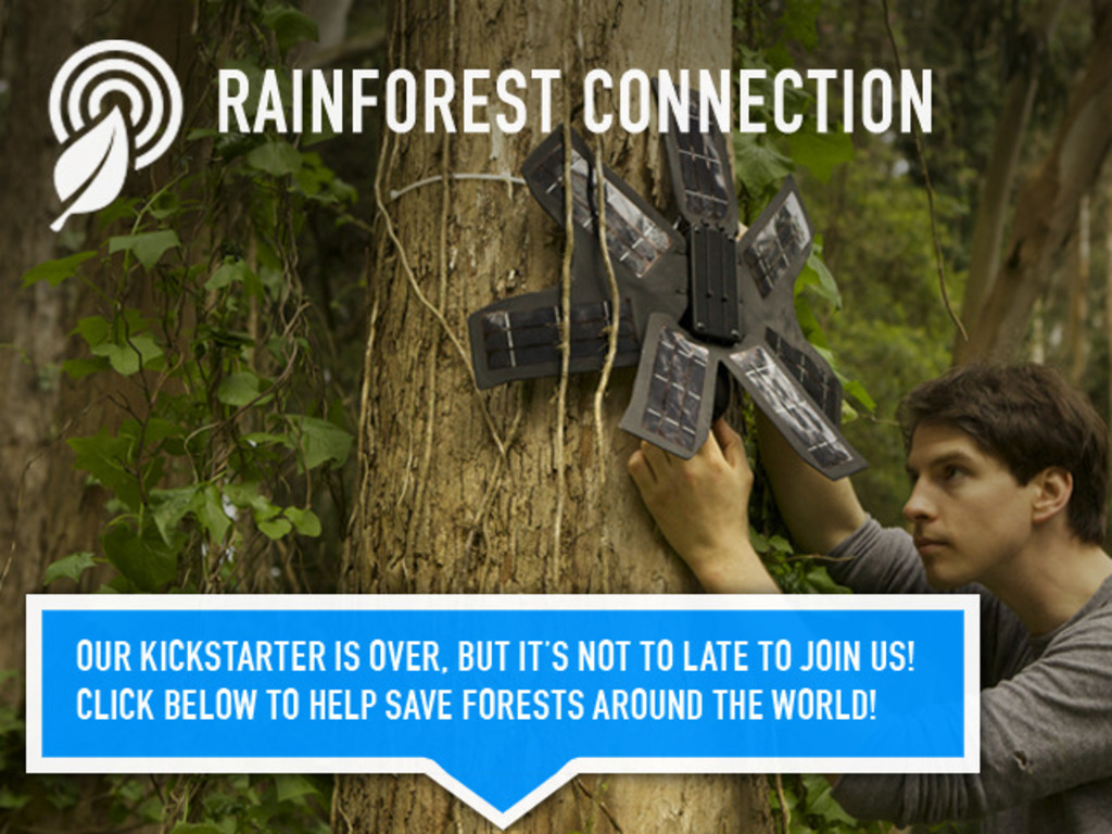 Rainforest Connection - Phones Turned to Forest Guardians's video poster