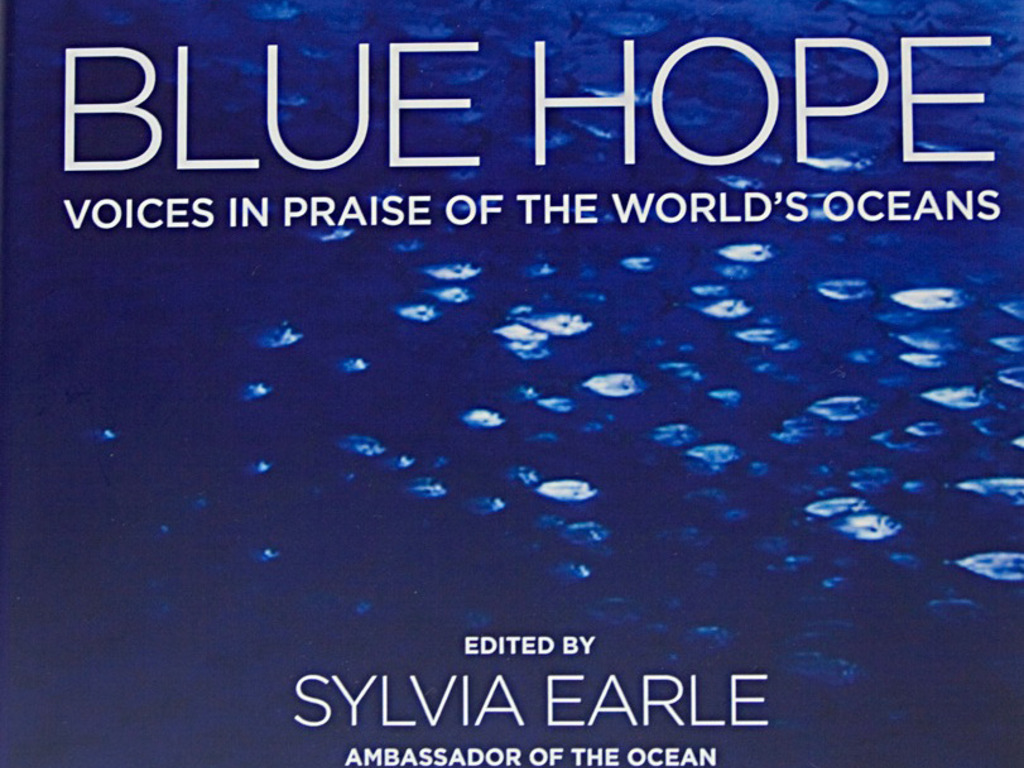 Blue Hope - An Ocean Book for the World's video poster