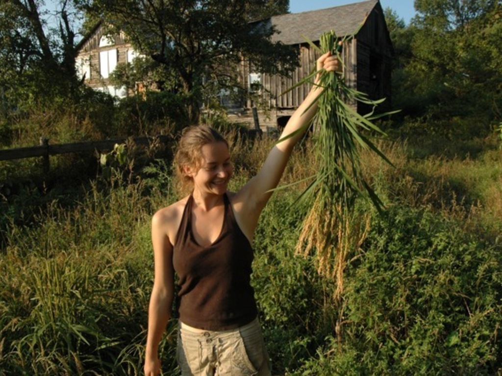 Growing Rice in Vermont's video poster