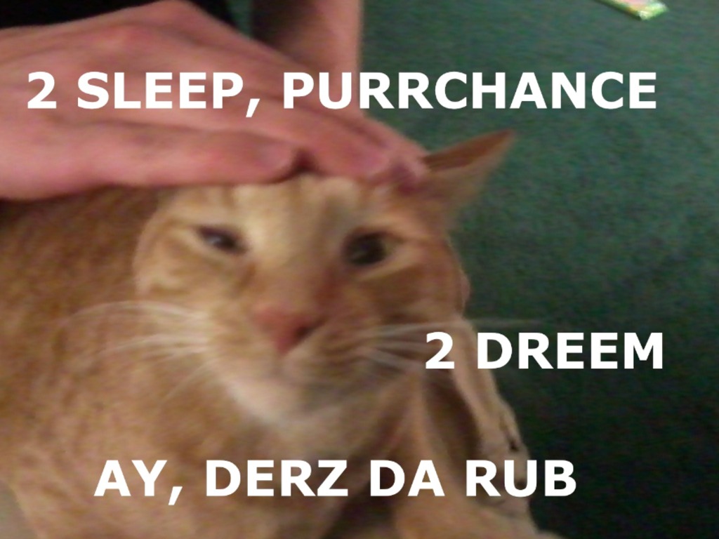 Translating Shakespeare Into lolspeak's video poster