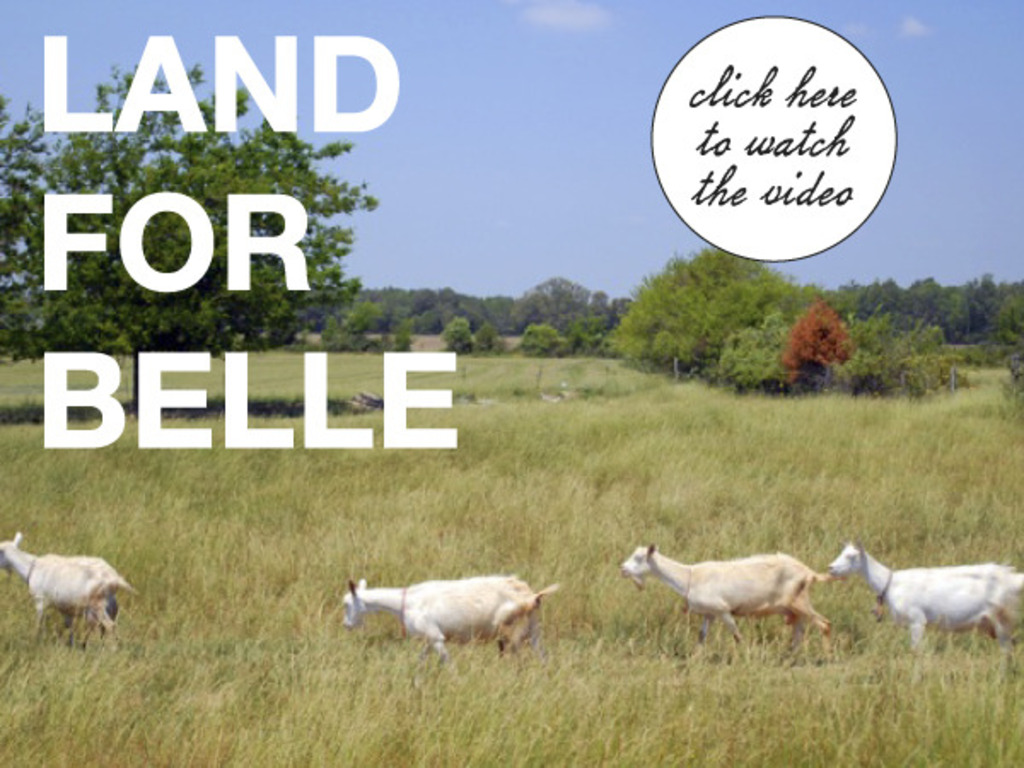 Land for Belle: Plot for a New Creamery's video poster