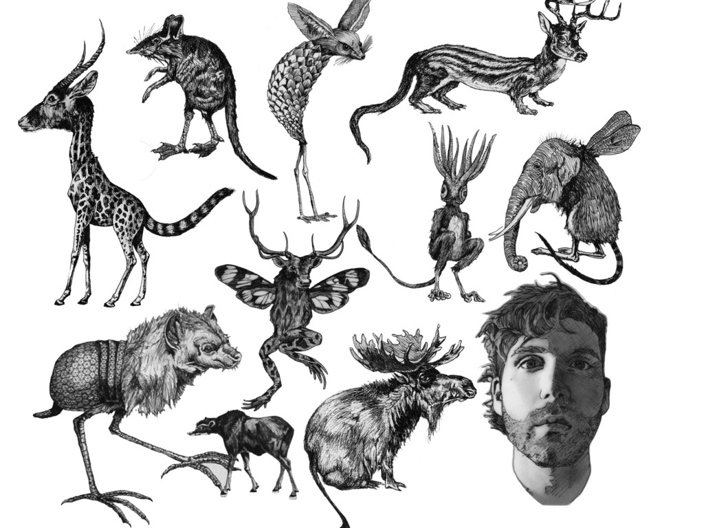 Joseph Mulhollen's 3rd record - "Problematical Animals"'s video poster