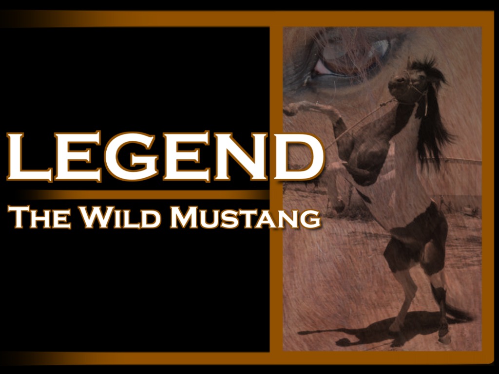 Legend, The Wild Mustang's video poster