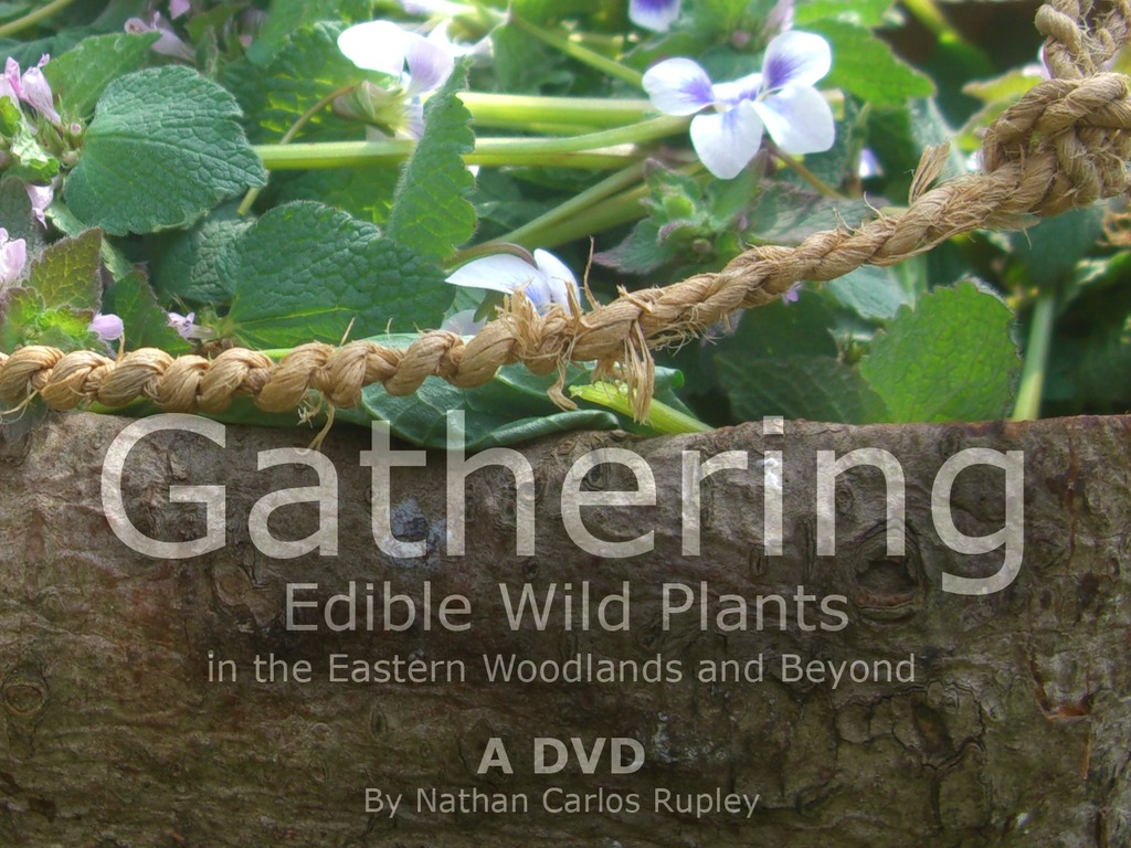 Gathering Edible Wild Plants DVD's video poster
