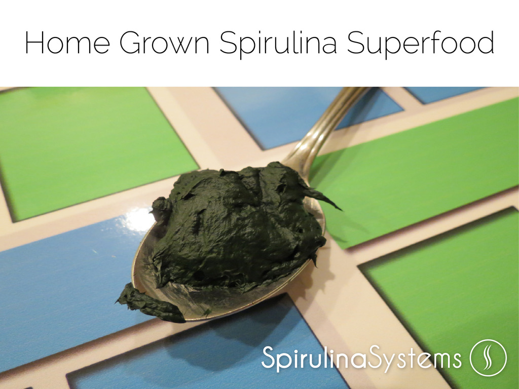 Food of the Future: Home Grown Spirulina Superfood Systems's video poster