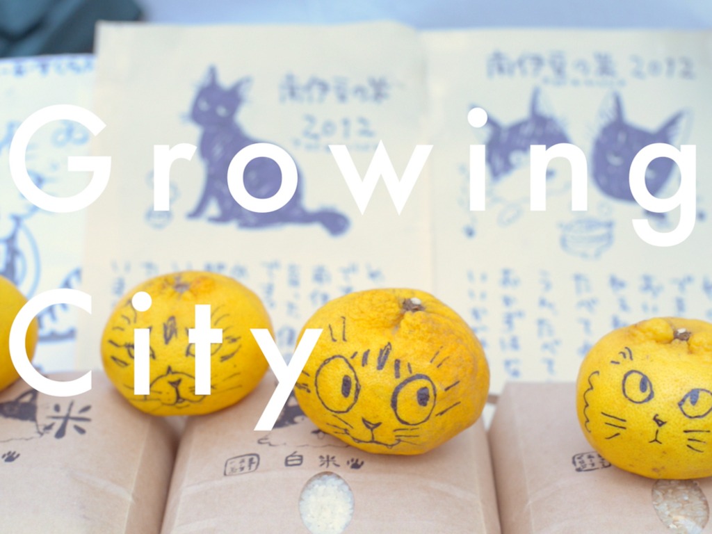 Growing City - A Documentary's video poster
