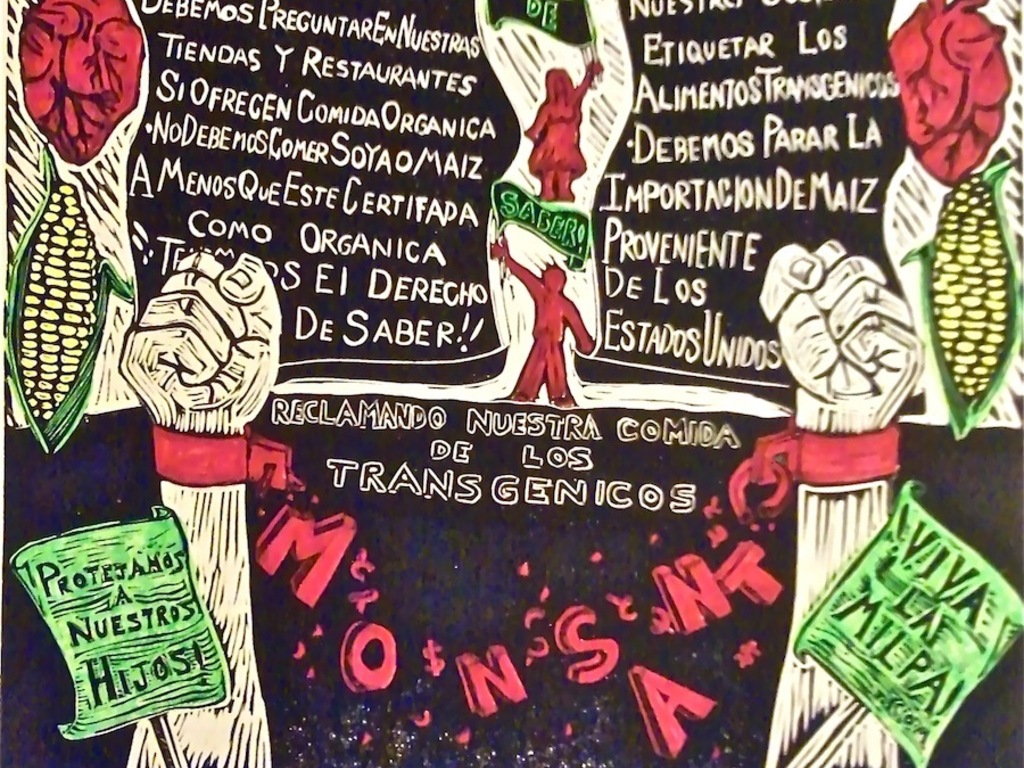 Saving Mexico's Corn - Viva La Milpa!'s video poster