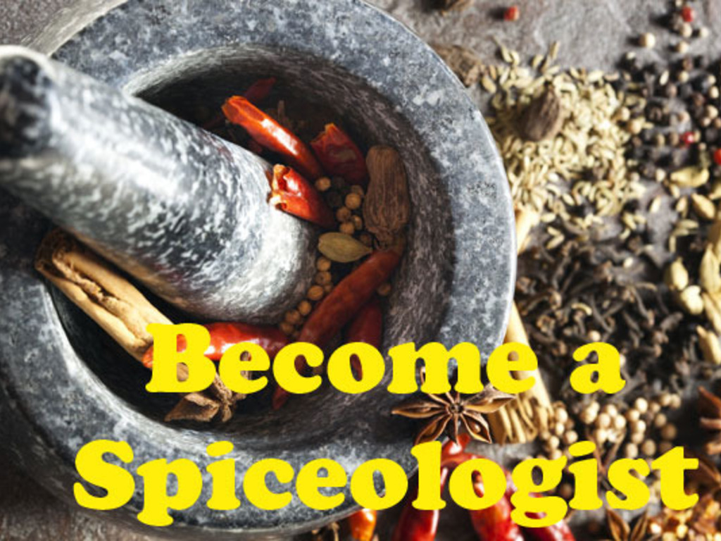 SAVORx- A Different Kind Of Spice Company (Really Different)'s video poster