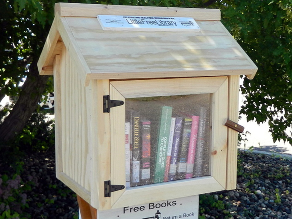 Little Free Library Project: Winston Salem, NC's video poster