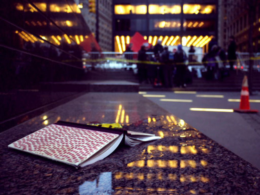 Take This Book: The People's Library at Occupy Wall Street's video poster