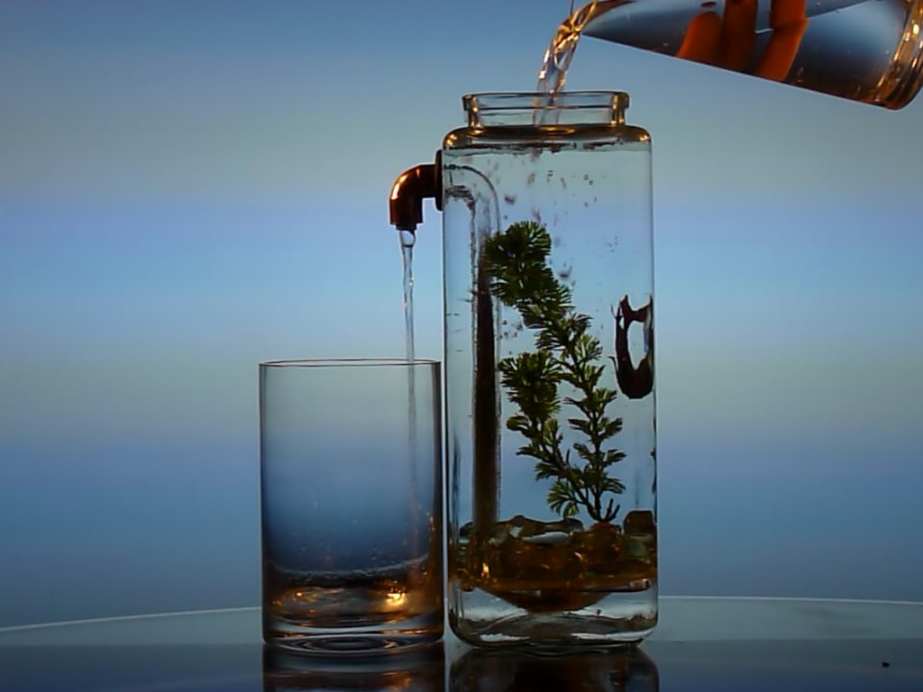 NoClean Aquariums™ - Self-Cleaning Betta Fish Tank!'s video poster