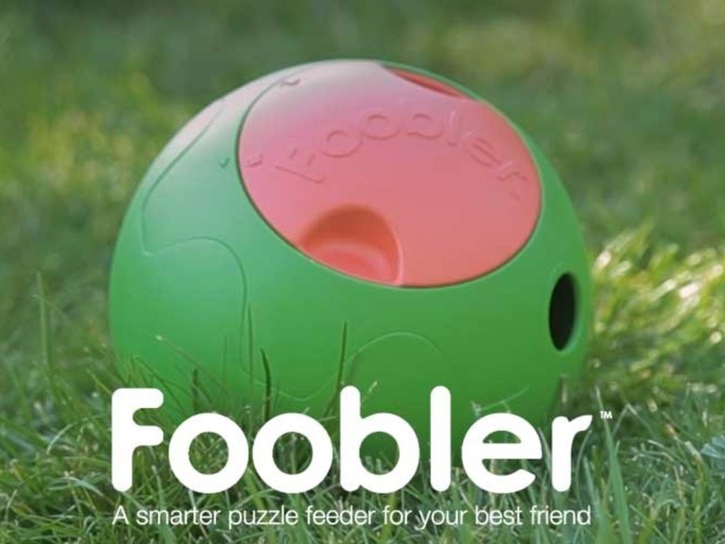 Foobler: A Smarter Puzzle Feeder for Your Dog's video poster