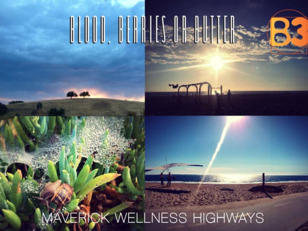 Blood, Berries or Butter: A film about your health!'s video poster