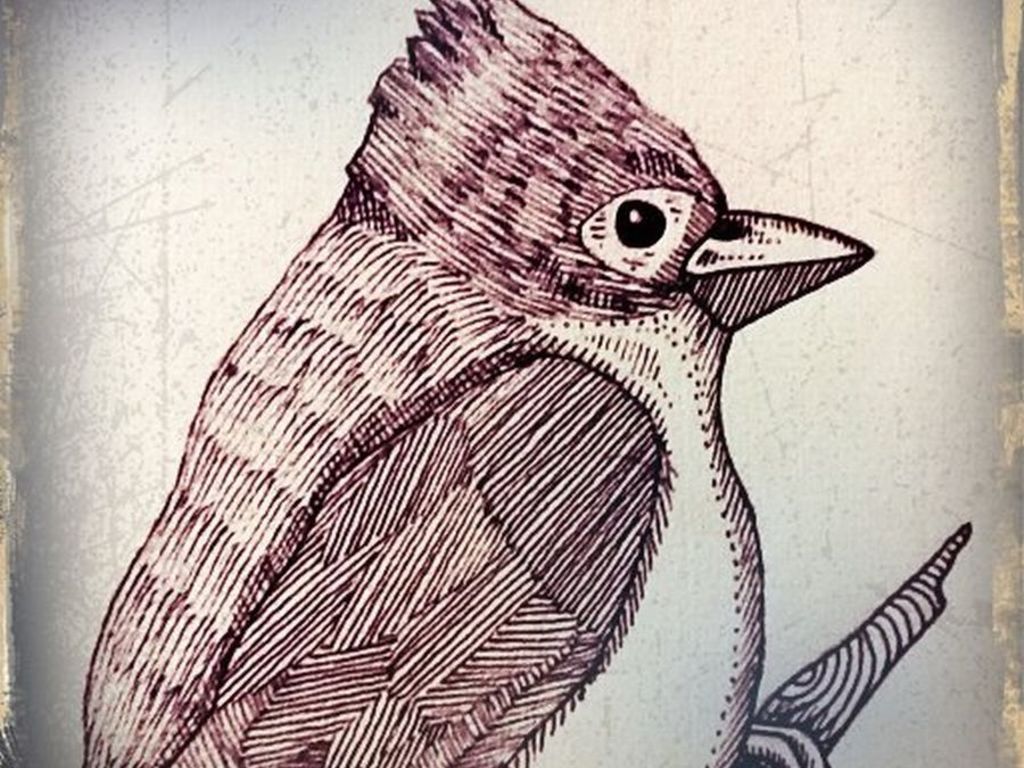 Help Steph open up The Waxwing's video poster