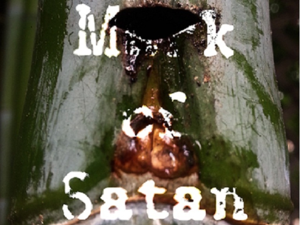 Mark of Satan's video poster