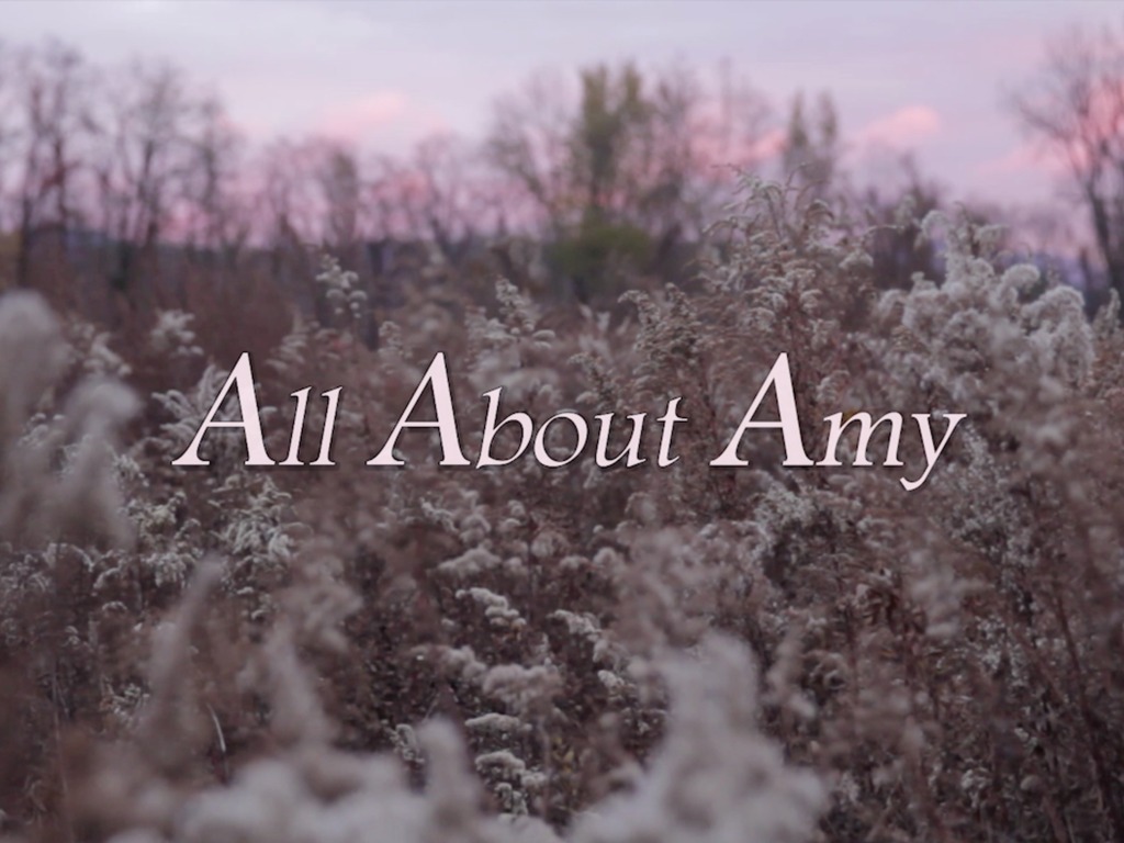 All About Amy's video poster