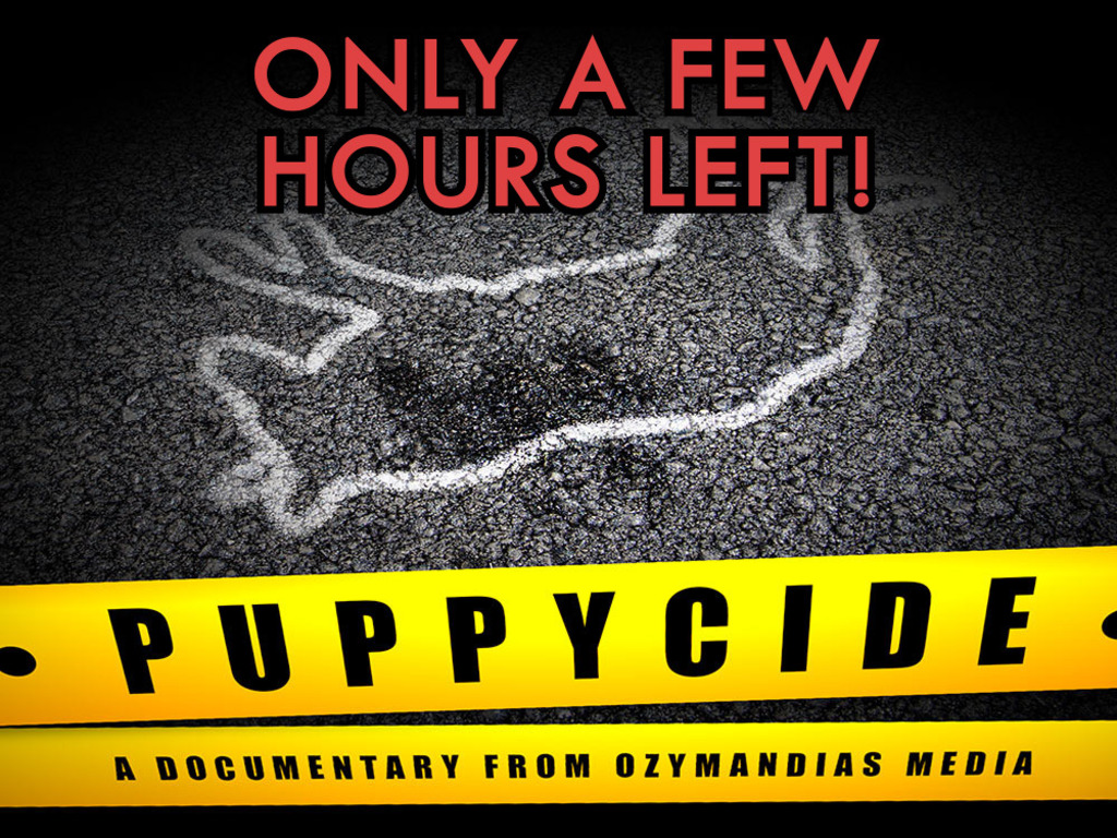 PUPPYCIDE: The Documentary's video poster