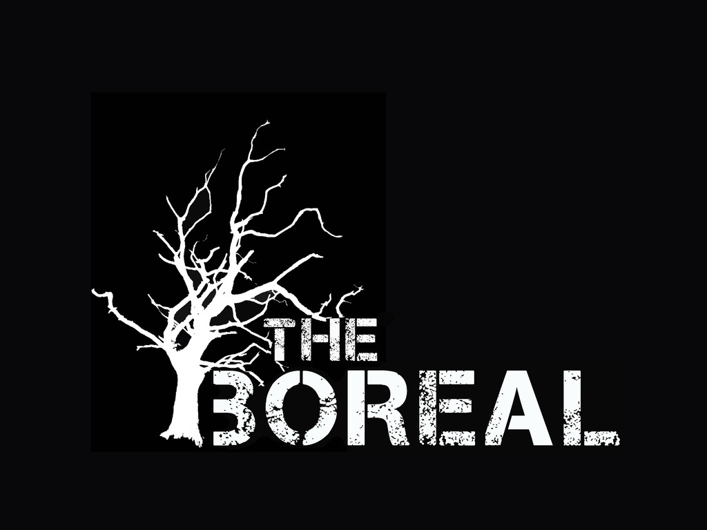 The Boreal: An All-Ages DIY Music Venue & Community Space's video poster