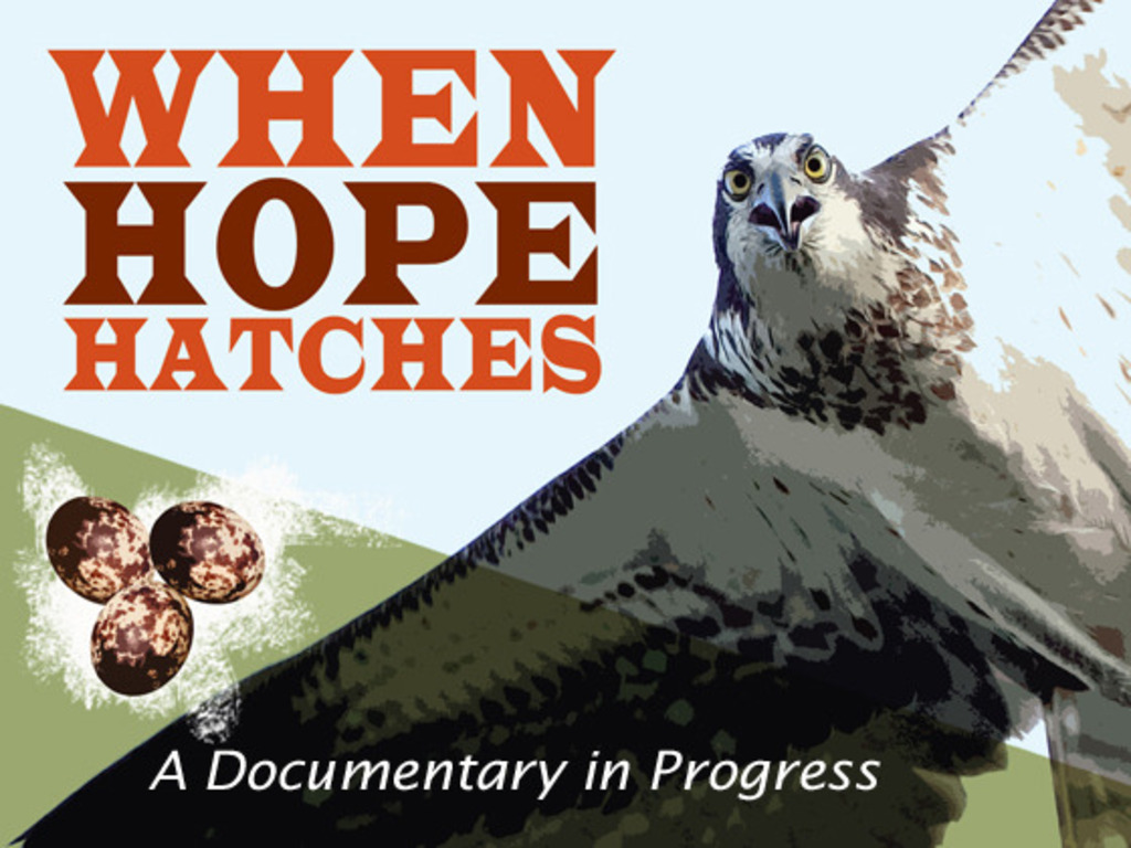 WHEN HOPE HATCHES's video poster