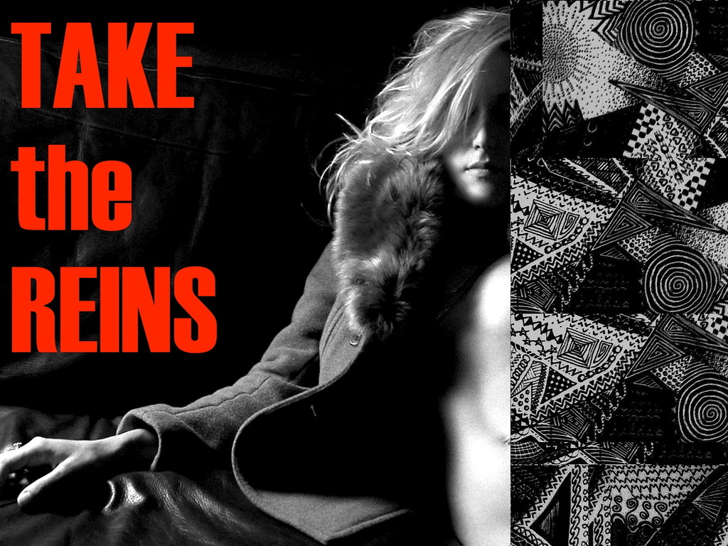 || TAKE the REINS || (Canceled)'s video poster