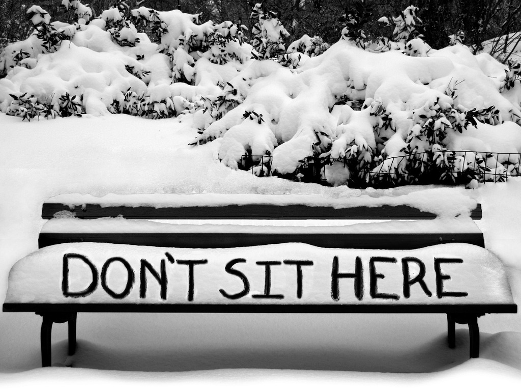 DON'T SIT HERE, A NOVEL's video poster