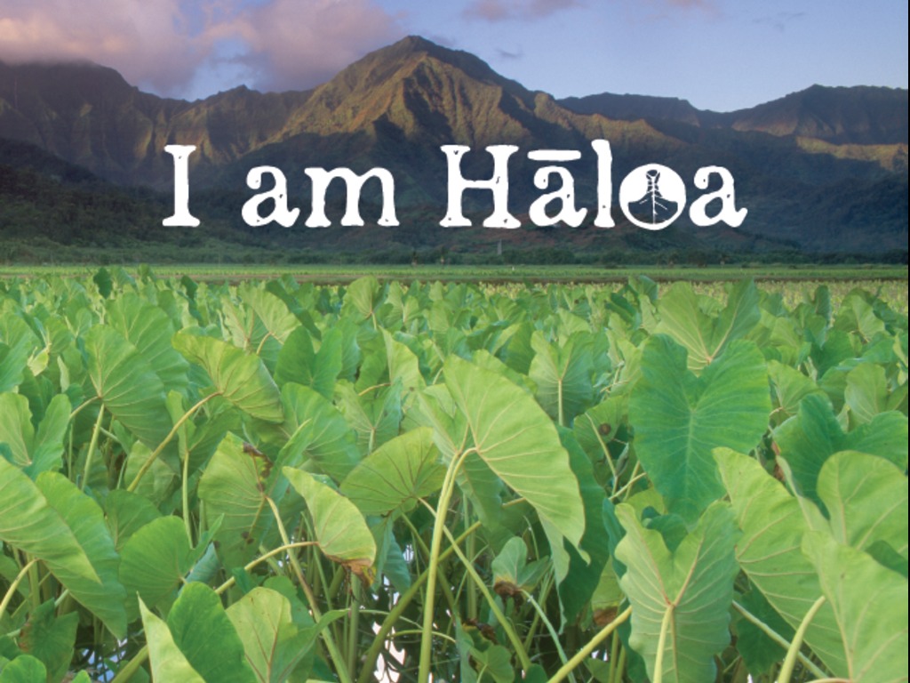 I am Haloa: Food is Culture's video poster