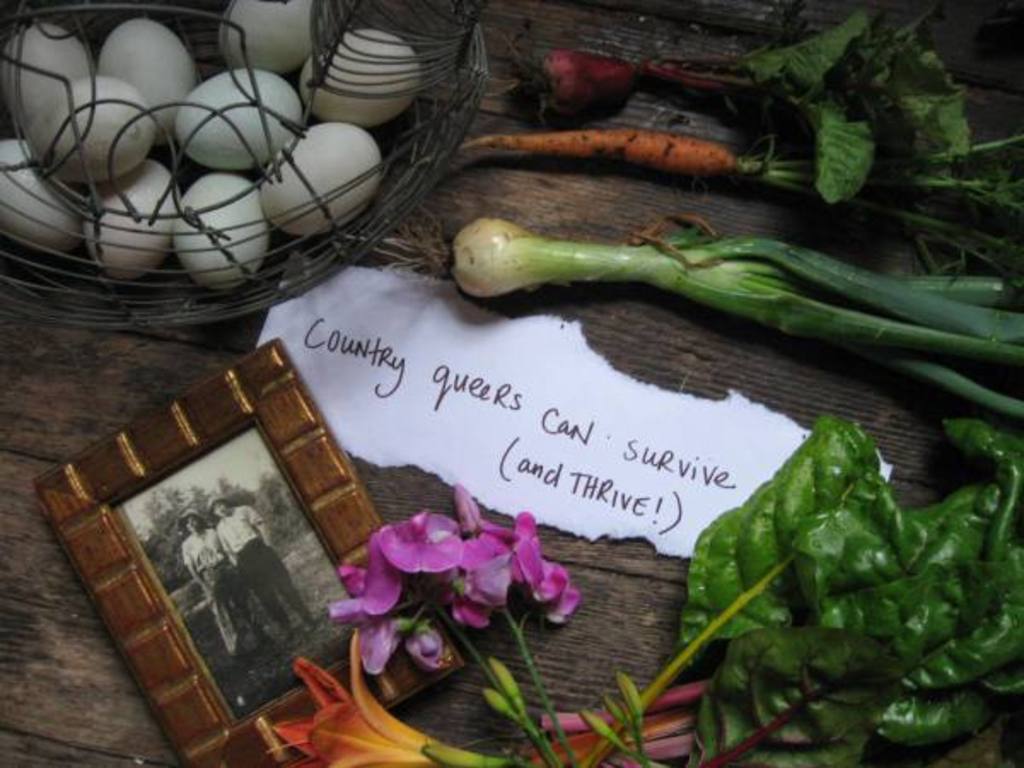 Country Queers Can Survive and Thrive!'s video poster