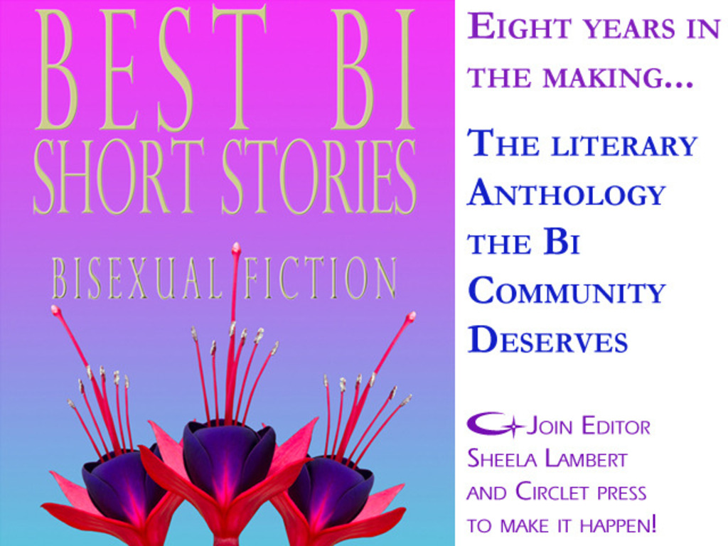 Best Bi Short Stories:Anthology of Bisexual Literary Fiction's video poster