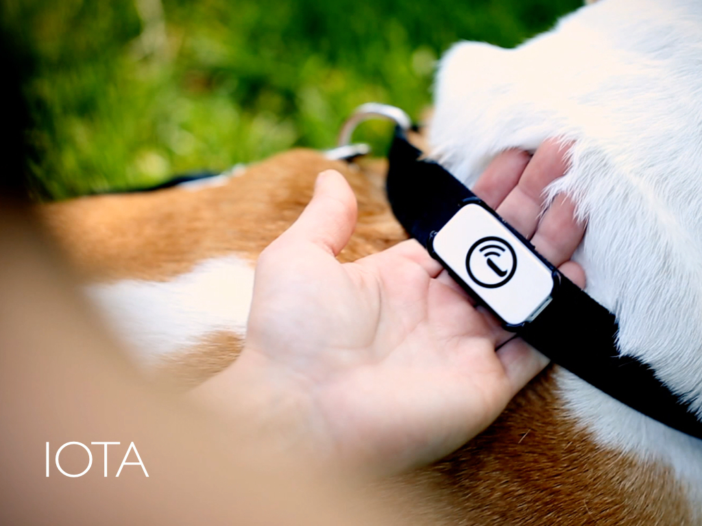 Iota: Never lose sight of what's important.'s video poster