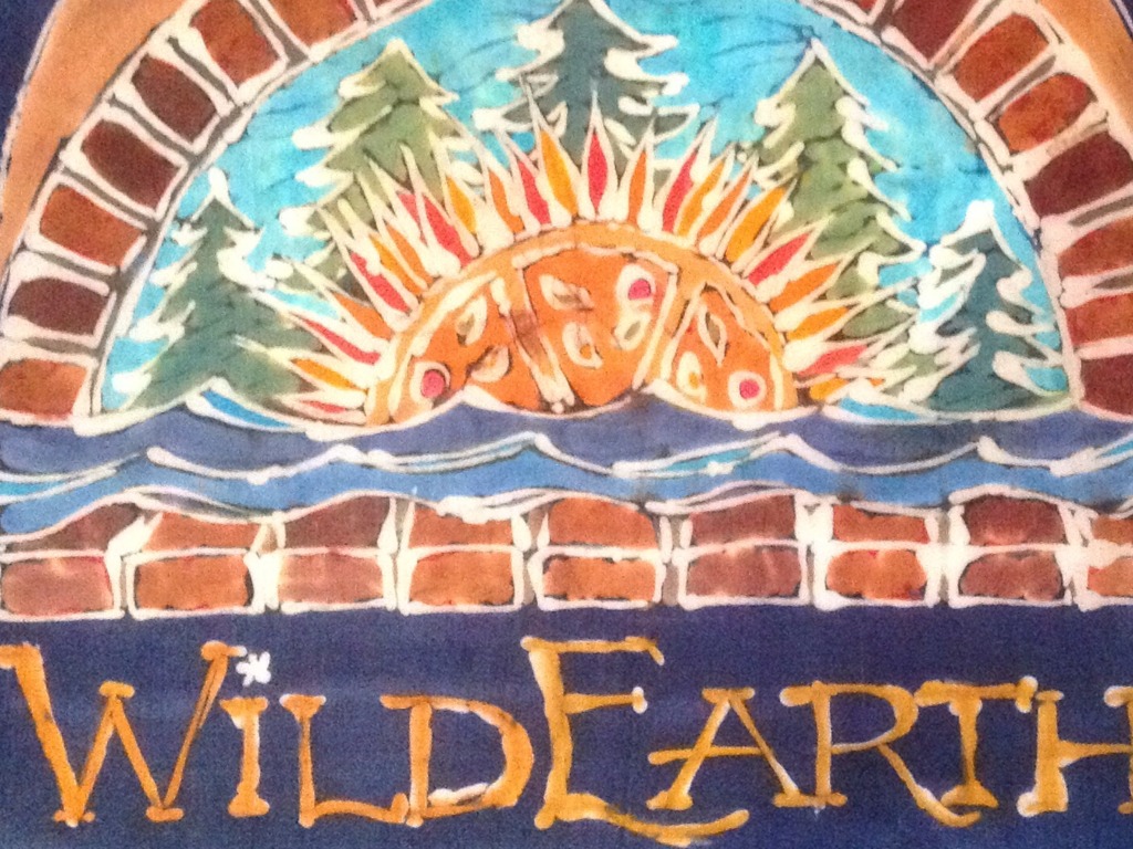 WildEarth WoodFired Mobile Pizza Bakery's video poster