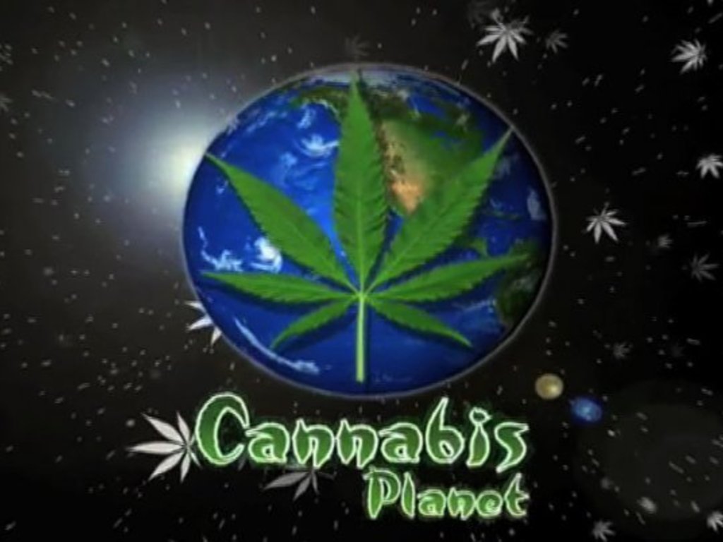 Cannabis Planet Documentary's video poster