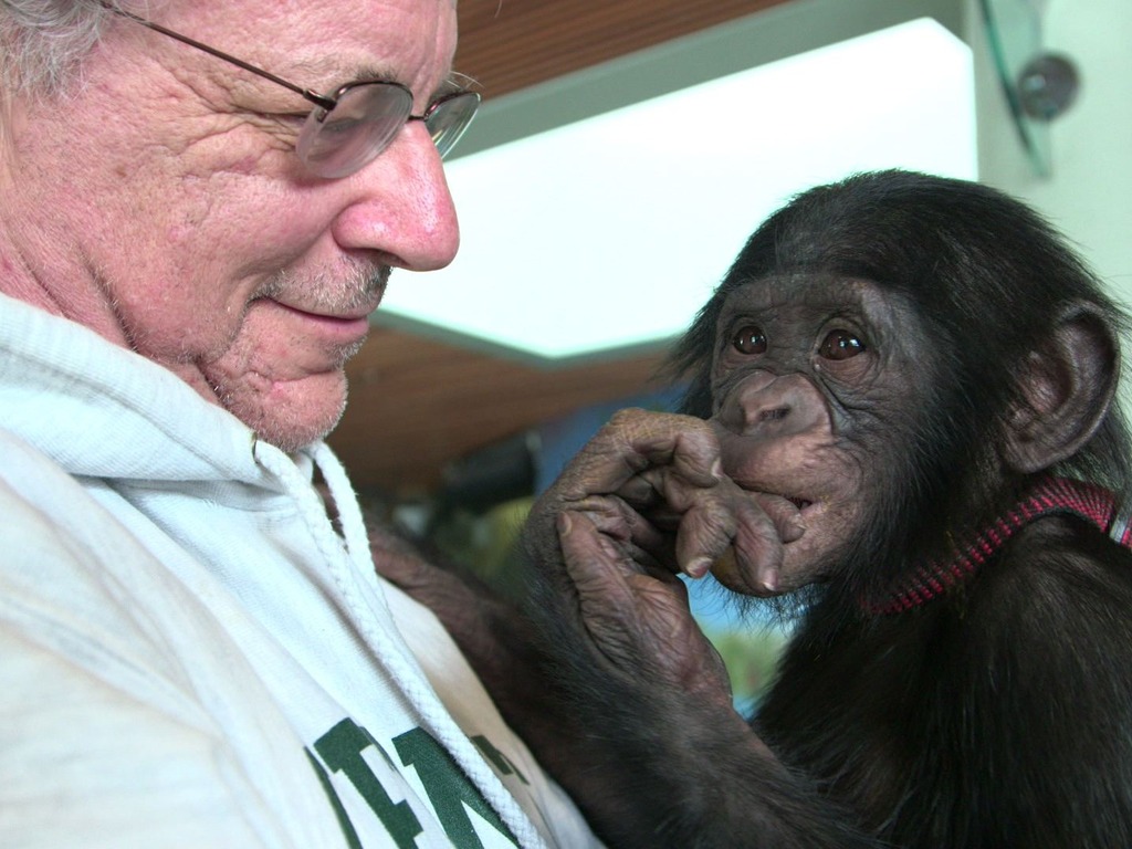 Unlocking the Cage: a new documentary's video poster