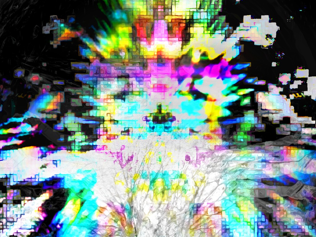 Sky in the Tree's video poster